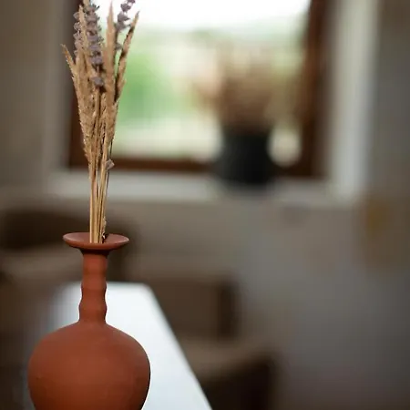 Esens Stone House Frühstückspension Mustafapaşa
