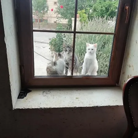 Esens Stone House 4* Mustafapaşa