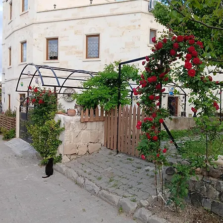 Esens Stone House 4*