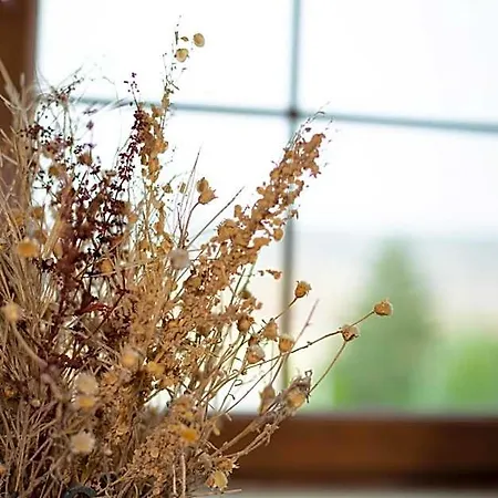 B&B Esens Stone House 4*