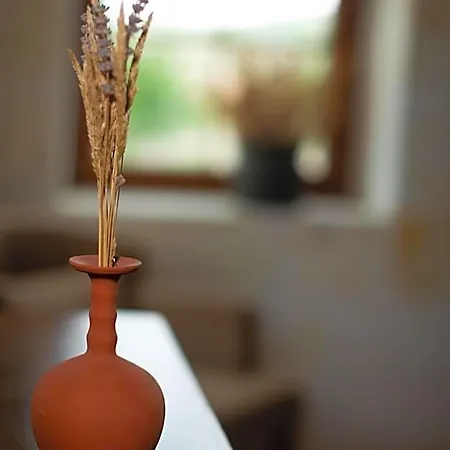 Esens Stone House Mustafapaşa
