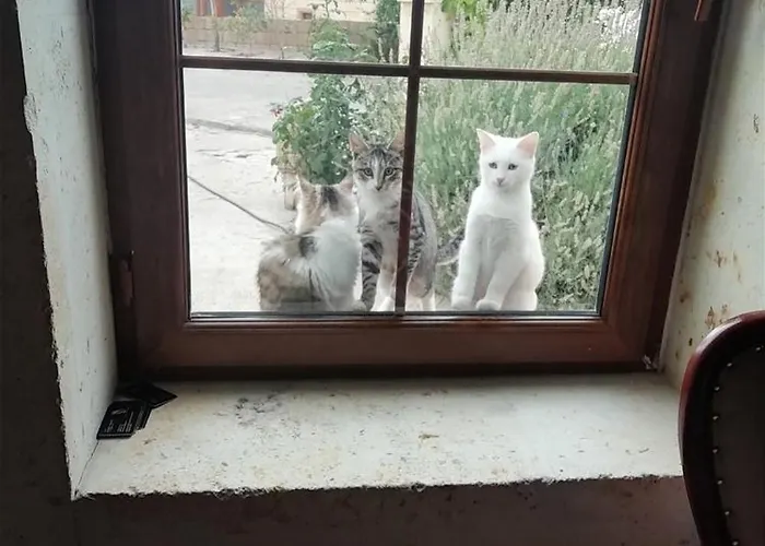 Esens Stone House 4* Mustafapaşa